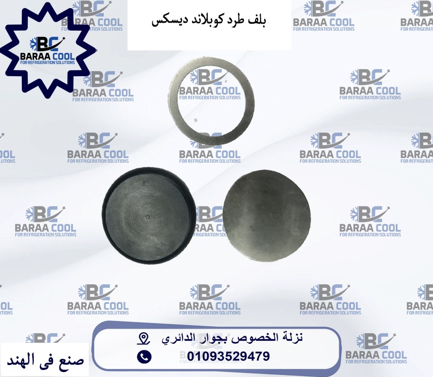 WhatsApp Image 2025-01-21 at 09.40.45_f0741428