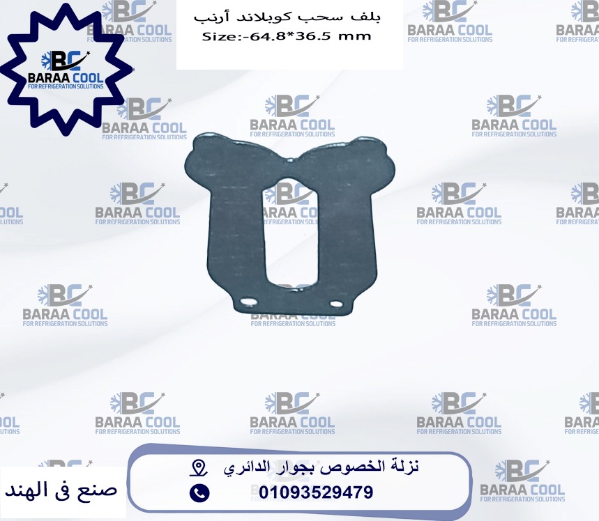 WhatsApp Image 2025-01-21 at 09.40.58_a404b57f