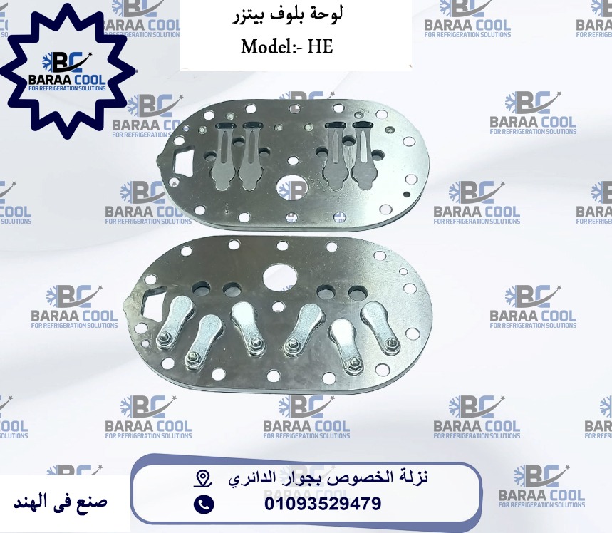 WhatsApp Image 2025-01-21 at 09.41.00_fbd83da6