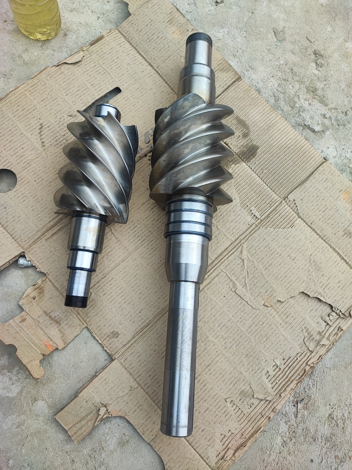 WhatsApp Image 2025-01-28 at 06.55.30_5ee13ef3