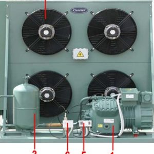 WhatsApp Image 2025-01-21 at 09.40.40_e627f9e1