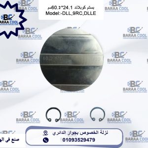 WhatsApp Image 2025-01-21 at 09.40.54_01f8cbf8