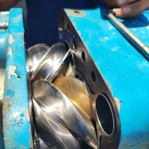 WhatsApp Image 2025-01-28 at 06.55.32_5aafffbe