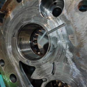 WhatsApp Image 2025-01-28 at 06.55.33_a604d68d